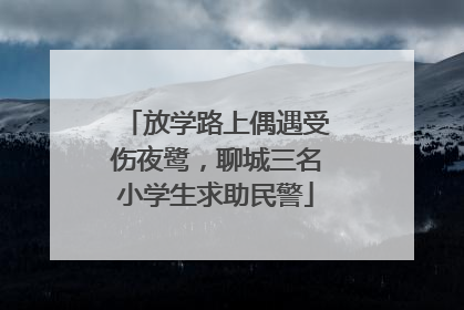 放学路上偶遇受伤夜鹭，聊城三名小学生求助民警