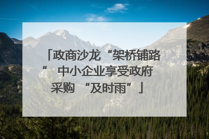 政商沙龙“架桥铺路” 中小企业享受政府采购 “及时雨”
