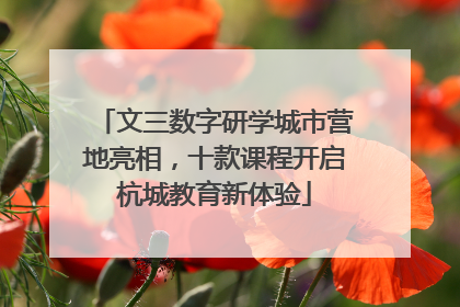 文三数字研学城市营地亮相，十款课程开启杭城教育新体验
