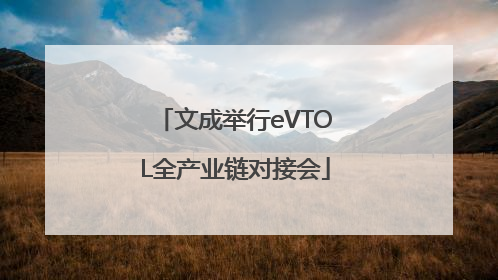 文成举行eVTOL全产业链对接会