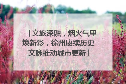 文旅深融，烟火气里焕新彩，徐州赓续历史文脉推动城市更新