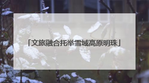 文旅融合托举雪域高原明珠