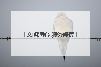文明润心 服务暖民