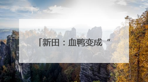 新田：血鸭变成“致富鸭” 预制菜撬动“舌尖经济”