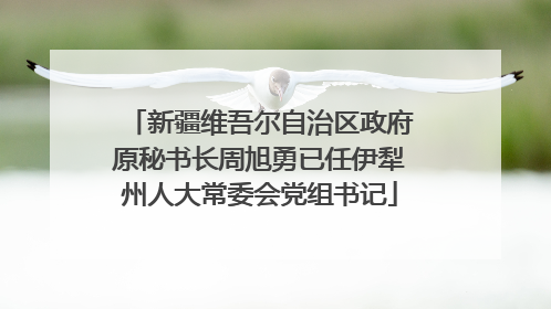 新疆维吾尔自治区政府原秘书长周旭勇已任伊犁州人大常委会党组书记