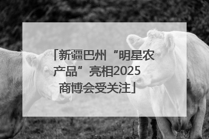 新疆巴州“明星农产品”亮相2025商博会受关注