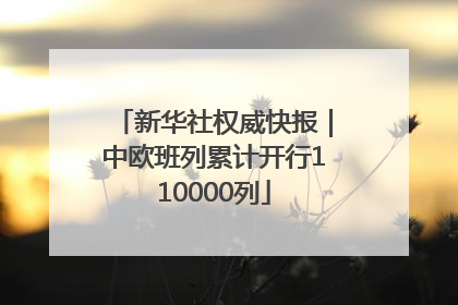新华社权威快报｜中欧班列累计开行110000列