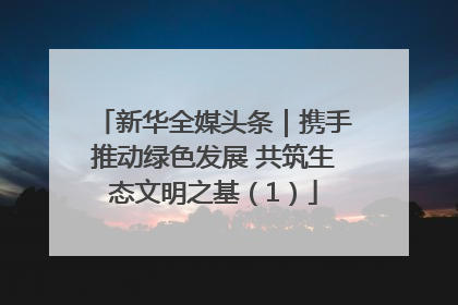 新华全媒头条｜携手推动绿色发展 共筑生态文明之基（1）