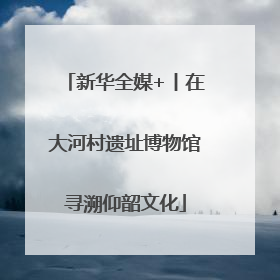 新华全媒+丨在大河村遗址博物馆寻溯仰韶文化