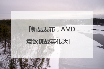 新品发布，AMD意欲挑战英伟达