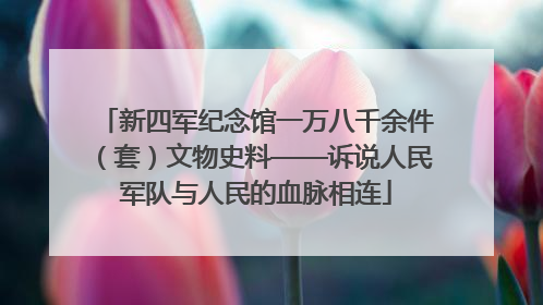 新四军纪念馆一万八千余件（套）文物史料——诉说人民军队与人民的血脉相连