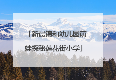 新晨锦和幼儿园萌娃探秘莲花街小学