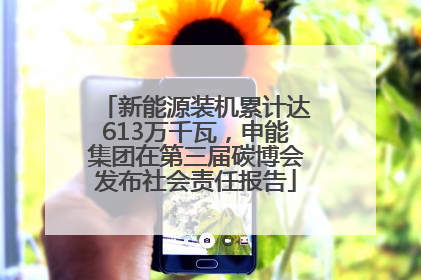 新能源装机累计达613万千瓦，申能集团在第三届碳博会发布社会责任报告
