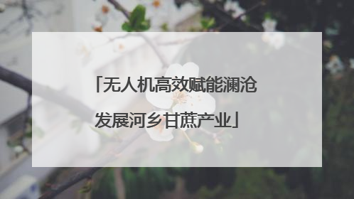 无人机高效赋能澜沧发展河乡甘蔗产业