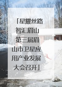 星耀丝路 智汇眉山 第三届眉山市卫星应用产业发展大会召开