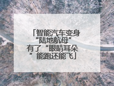 智能汽车变身“陆地航母” 有了“眼睛耳朵”能跑还能飞