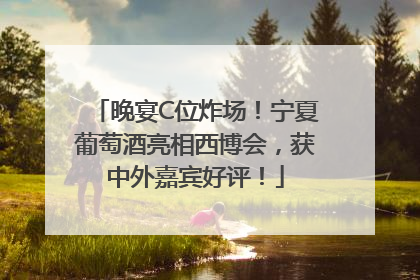 晚宴C位炸场！宁夏葡萄酒亮相西博会，获中外嘉宾好评！