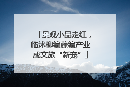 景观小品走红，临沭柳编藤编产业成文旅“新宠”
