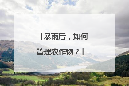 暴雨后，如何管理农作物？