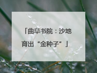 曲阜书院：沙地育出“金种子”