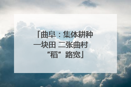曲阜：集体耕种一块田 二张曲村“稻”路宽