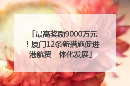 最高奖励9000万元！厦门12条新措施促进港航贸一体化发展