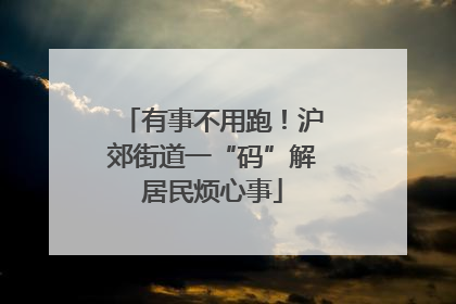 有事不用跑！沪郊街道一“码”解居民烦心事