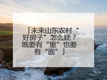 未来山东农村“好房子”怎么建？既要有“里”也要有“面”