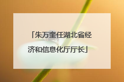 朱万奎任湖北省经济和信息化厅厅长