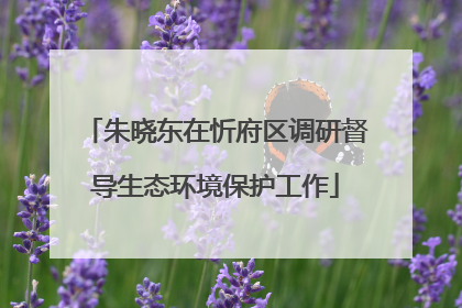 朱晓东在忻府区调研督导生态环境保护工作