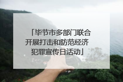 毕节市多部门联合开展打击和防范经济犯罪宣传日活动
