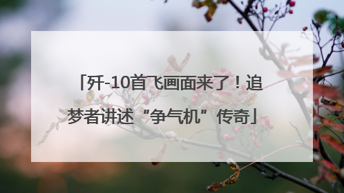歼-10首飞画面来了！追梦者讲述“争气机”传奇