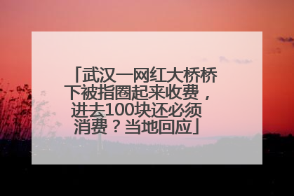 武汉一网红大桥桥下被指圈起来收费，进去100块还必须消费？当地回应