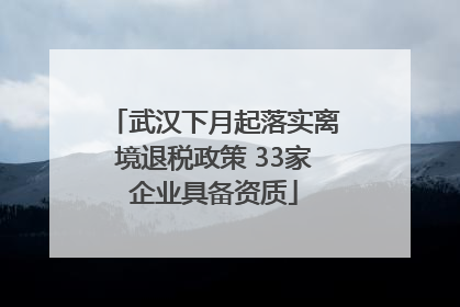 武汉下月起落实离境退税政策 33家企业具备资质