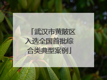 武汉市黄陂区入选全国首批综合类典型案例