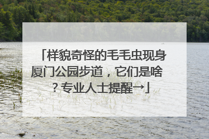 样貌奇怪的毛毛虫现身厦门公园步道，它们是啥？专业人士提醒→