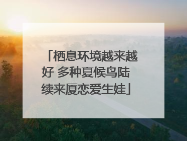 栖息环境越来越好 多种夏候鸟陆续来厦恋爱生娃