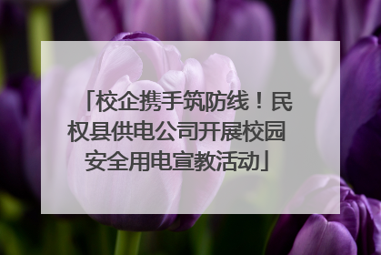 校企携手筑防线！民权县供电公司开展校园安全用电宣教活动