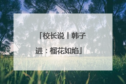 校长说丨韩子进：榴花如焰