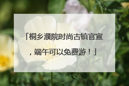 桐乡濮院时尚古镇官宣，端午可以免费游！