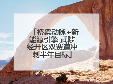 桥梁动脉+新能源引擎 武陟经开区双赛道冲刺半年目标