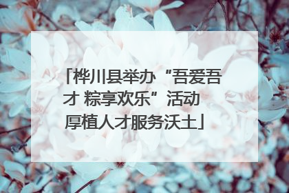 桦川县举办“吾爱吾才 粽享欢乐”活动 厚植人才服务沃土