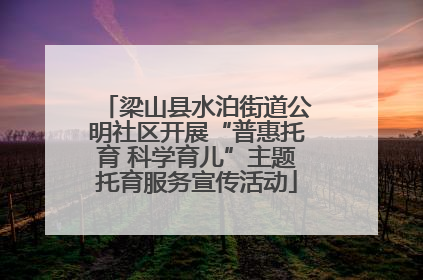 梁山县水泊街道公明社区开展“普惠托育 科学育儿”主题托育服务宣传活动