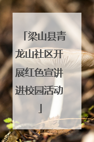 梁山县青龙山社区开展红色宣讲进校园活动