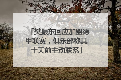 樊振东回应加盟德甲联赛，俱乐部称其十天前主动联系
