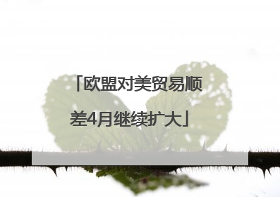 欧盟对美贸易顺差4月继续扩大