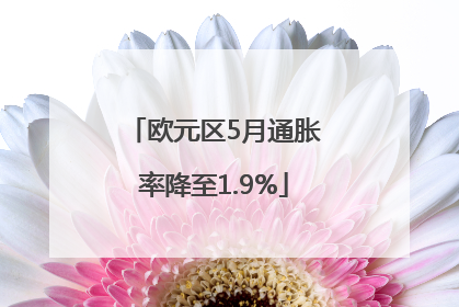 欧元区5月通胀率降至1.9%