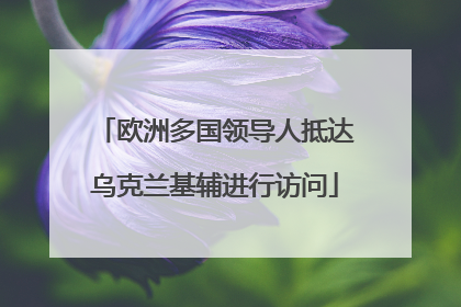 欧洲多国领导人抵达乌克兰基辅进行访问