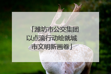 潍坊市公交集团以点滴行动绘就城市文明新画卷