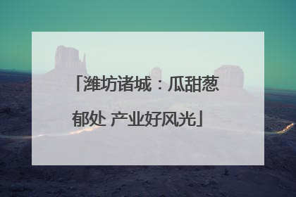潍坊诸城：瓜甜葱郁处 产业好风光